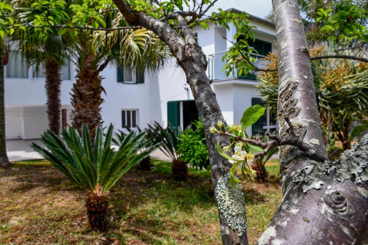Casa Do Cantinho Do Muro São Vicente Dış mekan fotoğraf